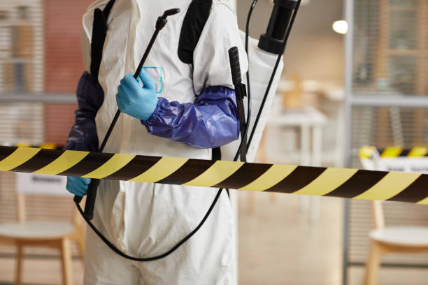 Professional Sewage Cleanup technician working in Great Falls, VA